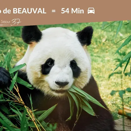 Le Constantine - Quartier Historique - Charme & Ancien Daire *