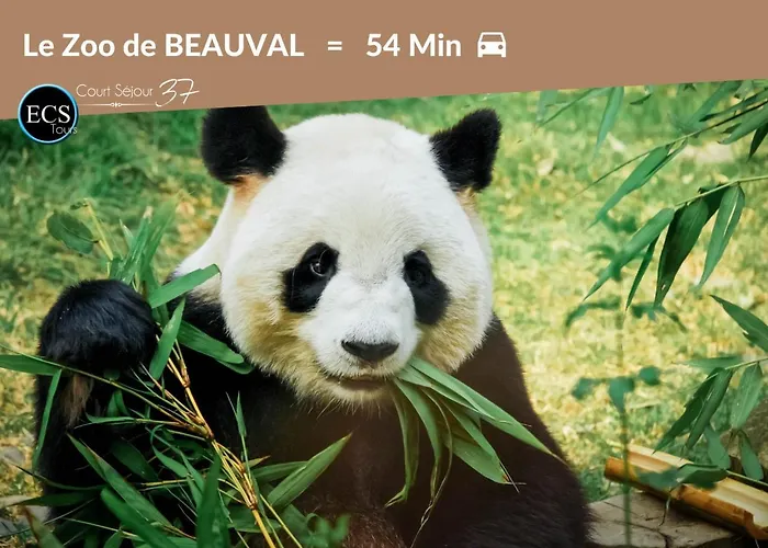 Le Constantine - Quartier Historique - Charme & Ancien Appartamento *