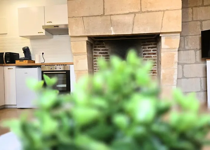 公寓 Le Constantine - Quartier Historique - Charme & Ancien 图尔